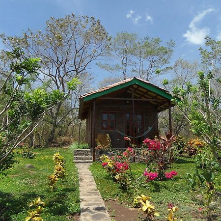 Finca Montana Sagrada Mérida 객실 사진