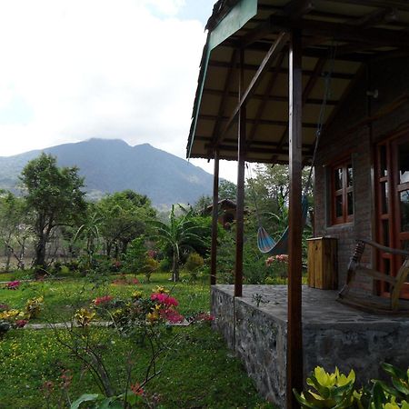 Finca Montana Sagrada Mérida 객실 사진