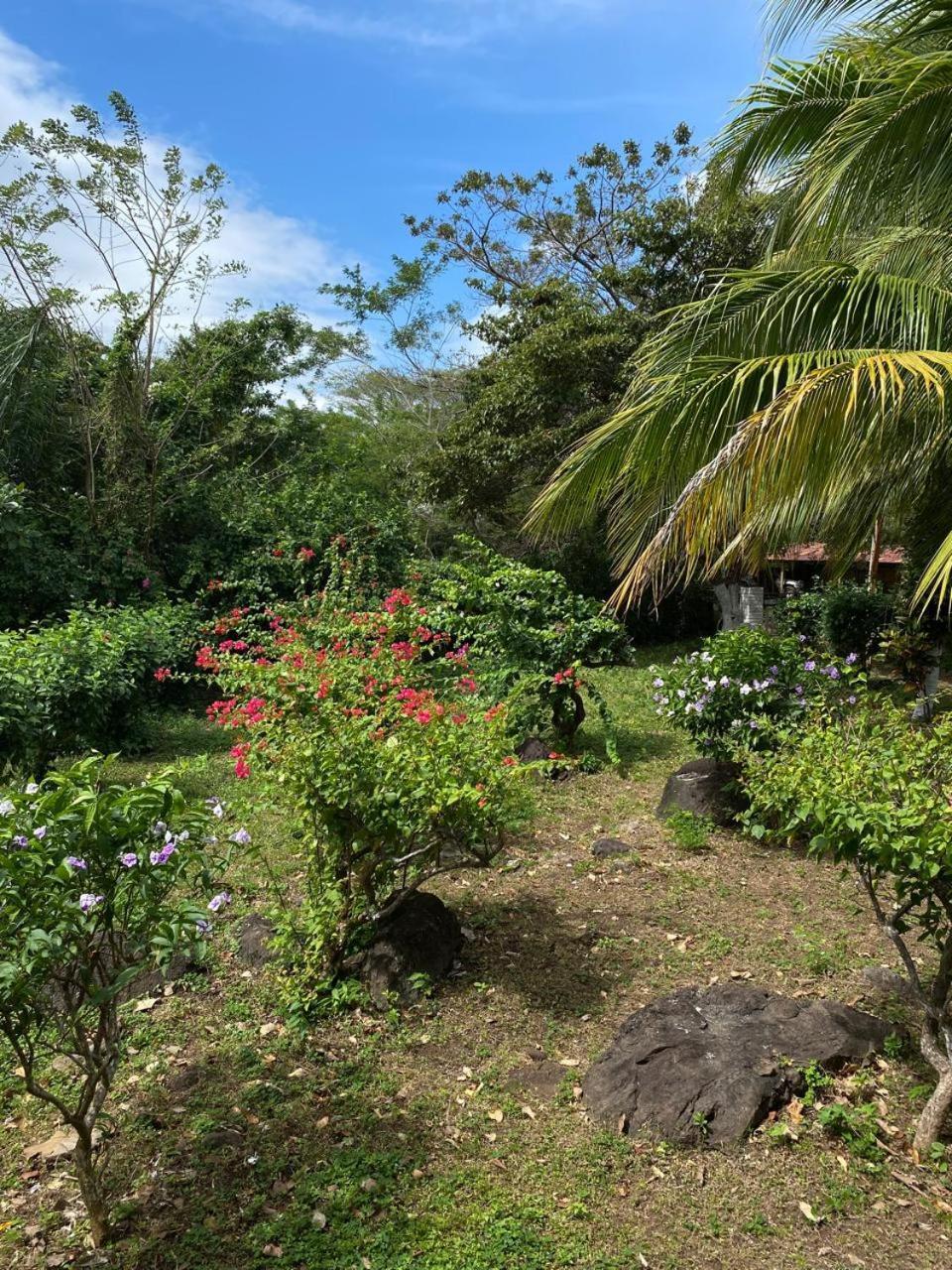 Finca Montana Sagrada Mérida 외부 사진