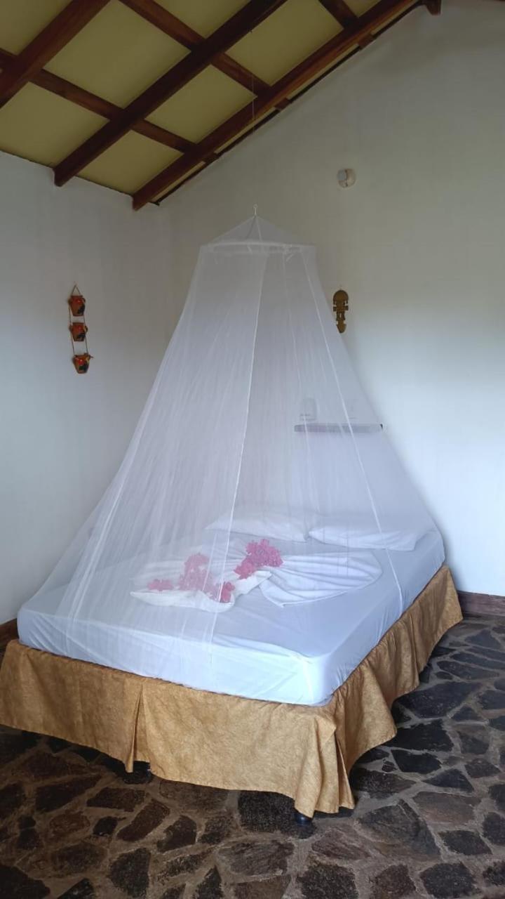 Finca Montana Sagrada Mérida 외부 사진