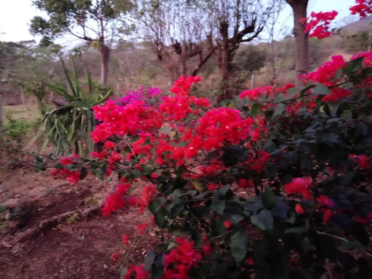 Finca Montana Sagrada Mérida 외부 사진