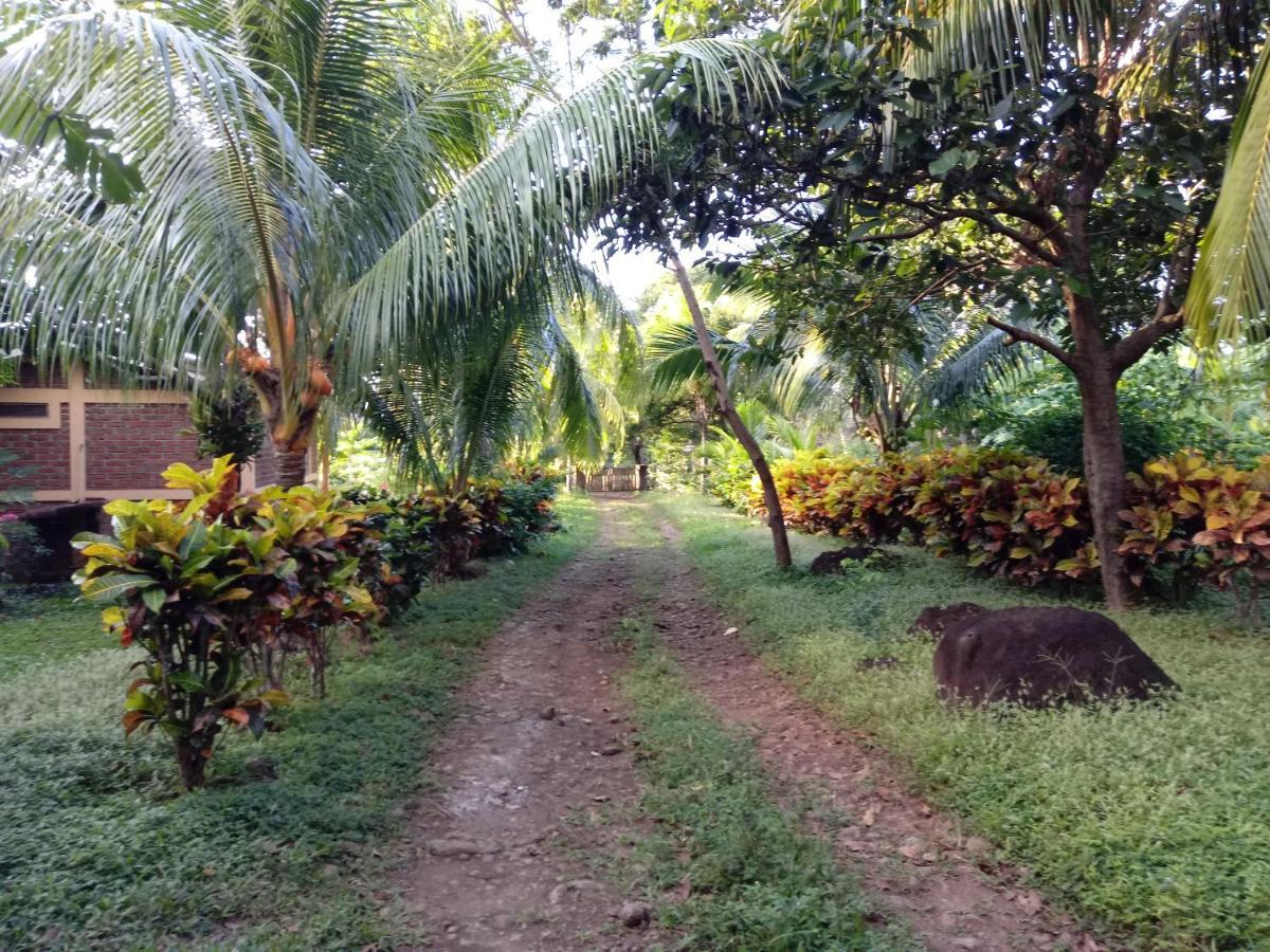 Finca Montana Sagrada Mérida 외부 사진