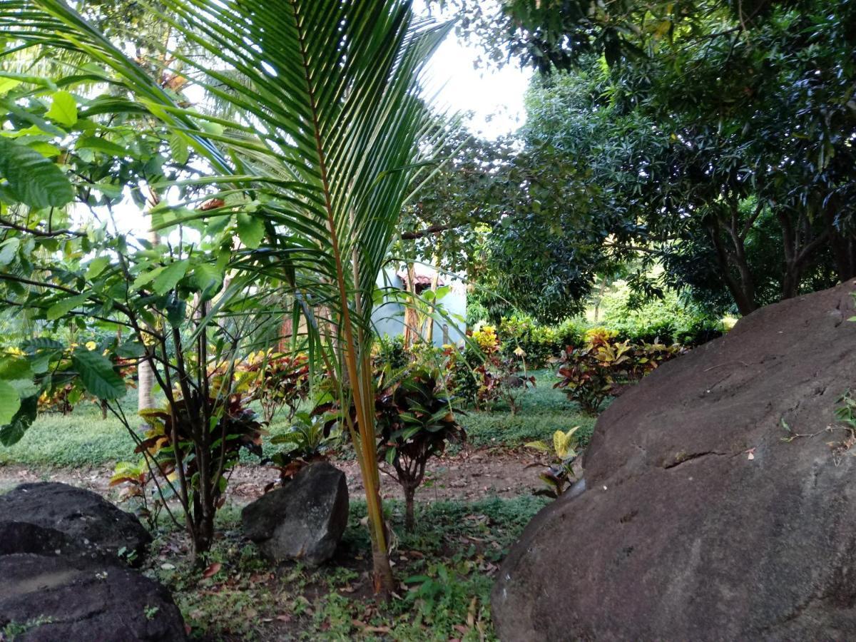 Finca Montana Sagrada Mérida 외부 사진
